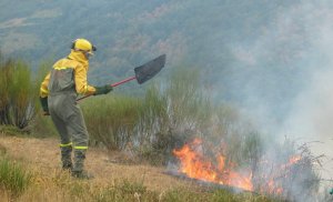 Un agente forestal intenta apagar un fuego en las inmediaciones de la localidad de Ezcaray. / FÉLIX DOMÍNGUEZ