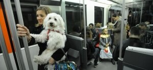 Una joven entra ayer a las instalaciones del metro acompañada de su perro. ::                             BORJA AGUDO