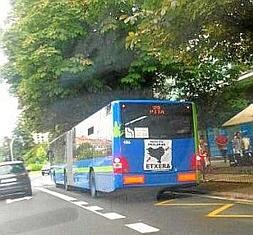 Imagen de ayer del autobús con el cartel contra la dispersión.