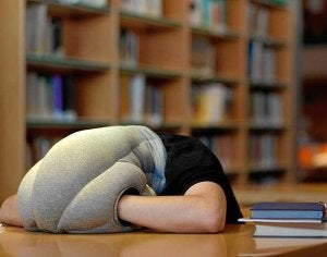 Almohada avestruz deals