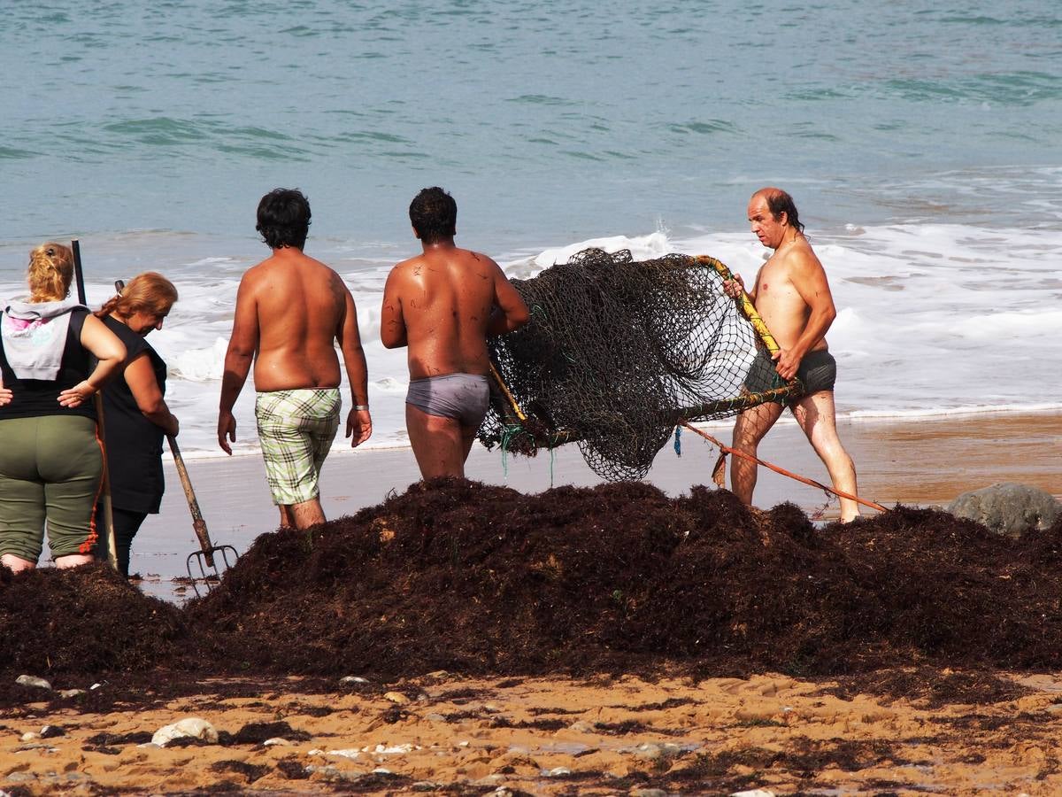 La caloca llega a las playas