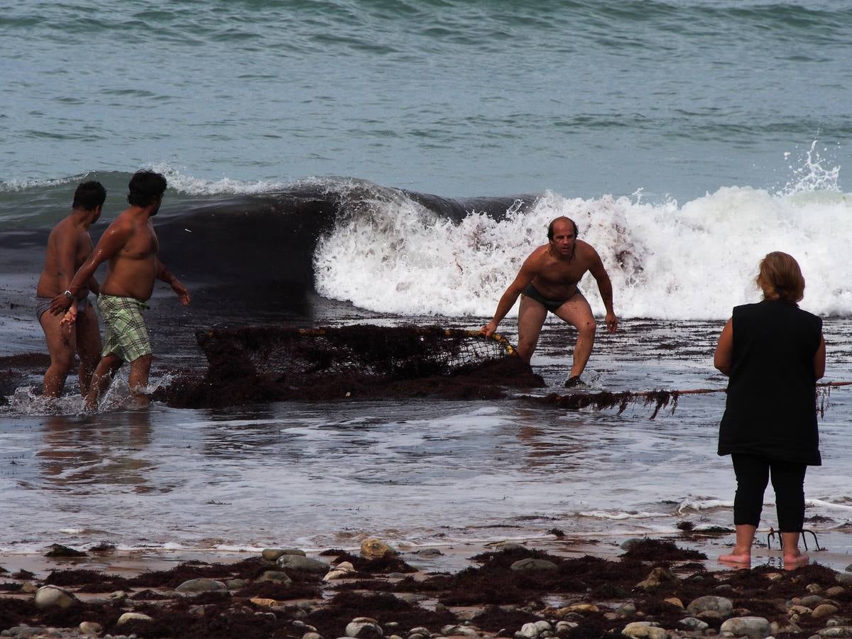 La caloca llega a las playas