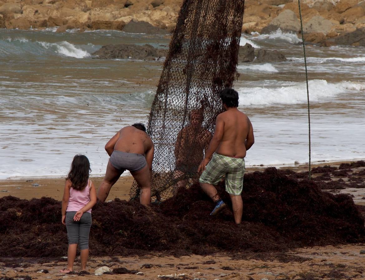 La caloca llega a las playas