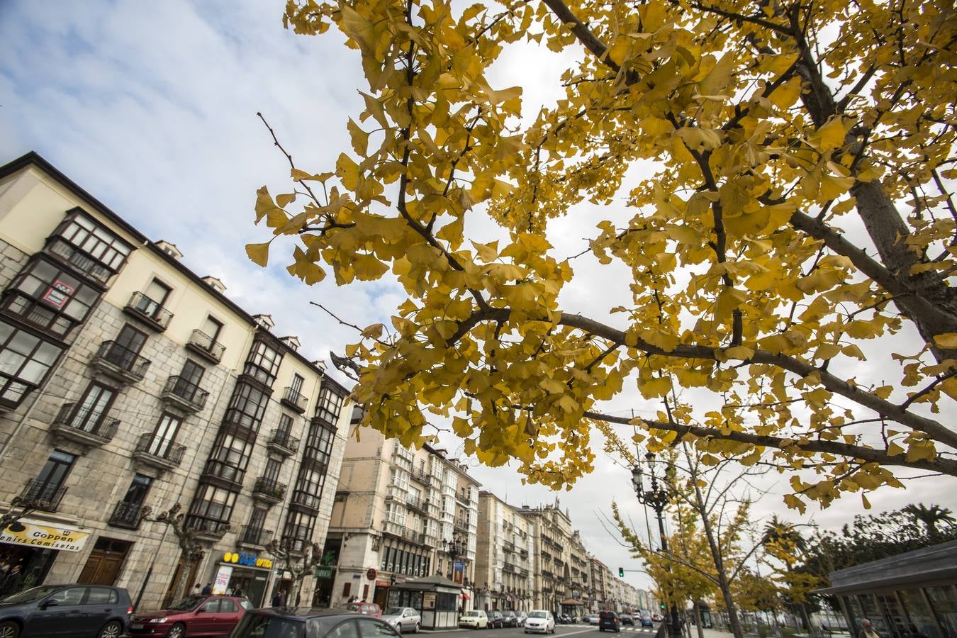 Otoño en Cantabria