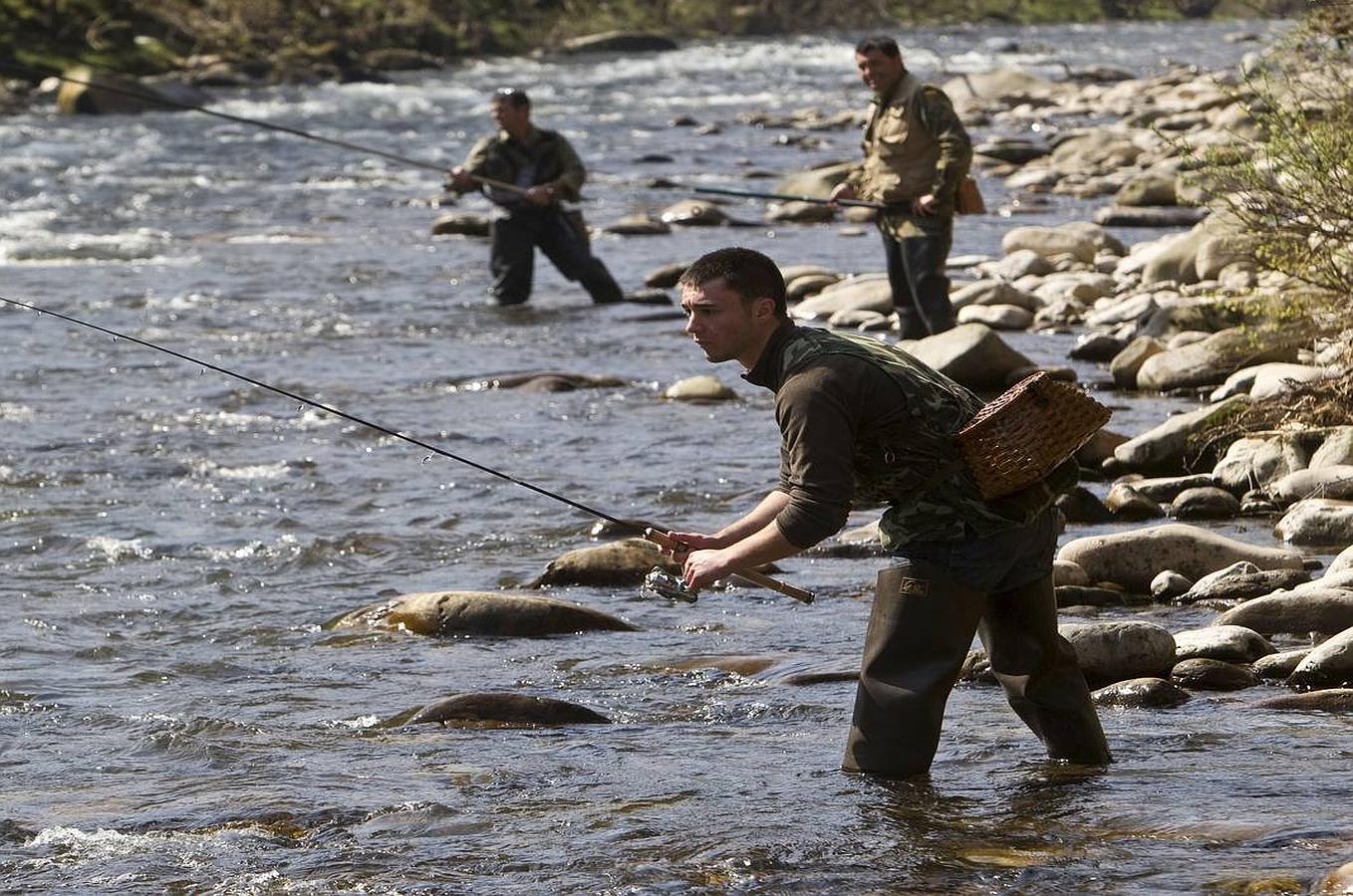 Pesca de trucha