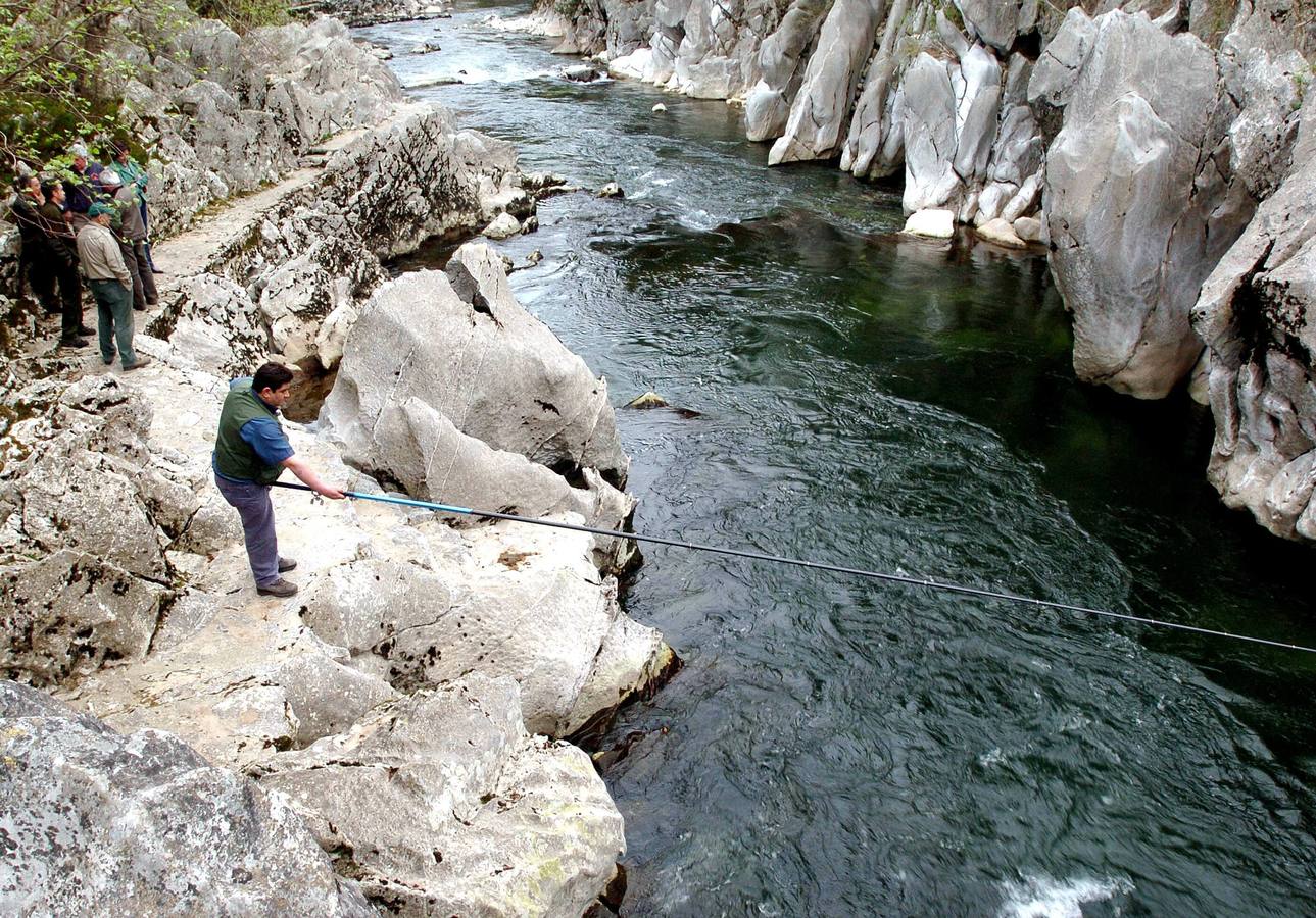 Pesca de salmón en el río Pas