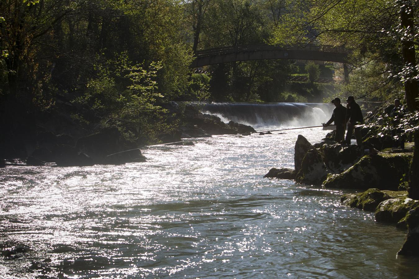 Pesca de Salmón en el río Pas