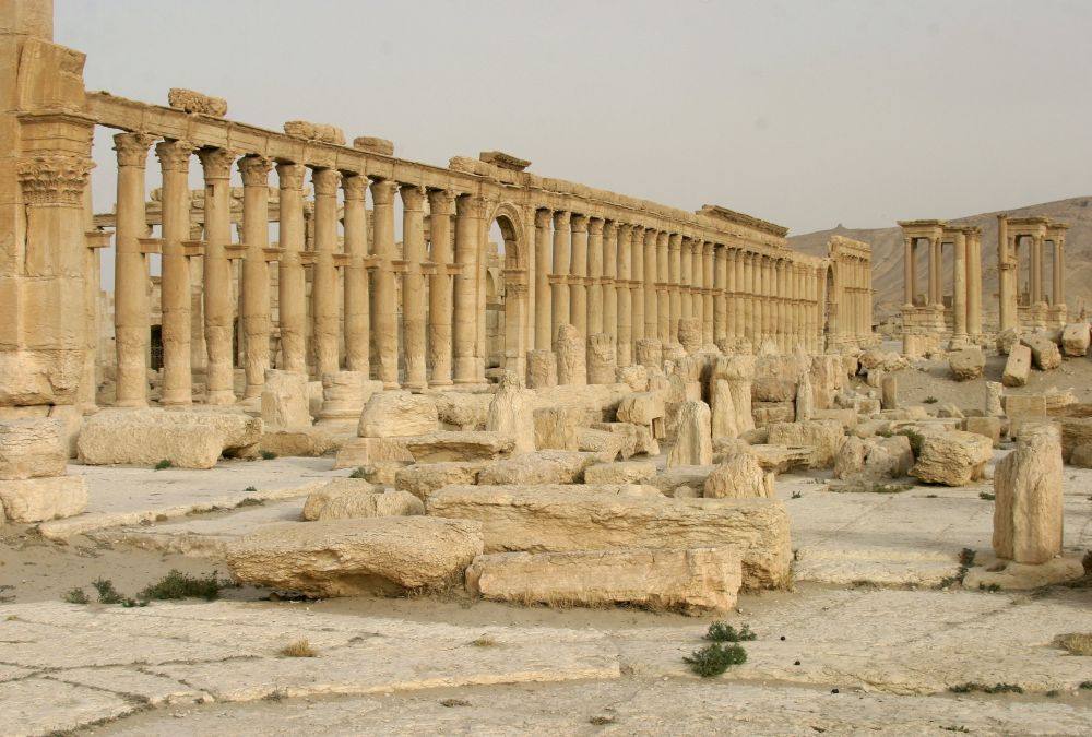 Palmira, la historia destruida