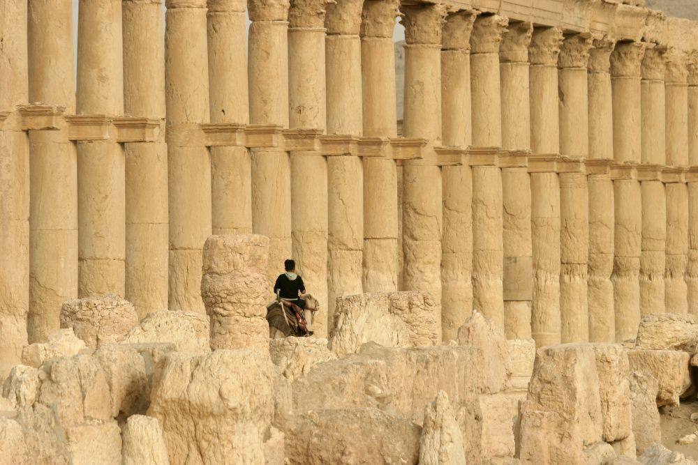 Palmira, la historia destruida