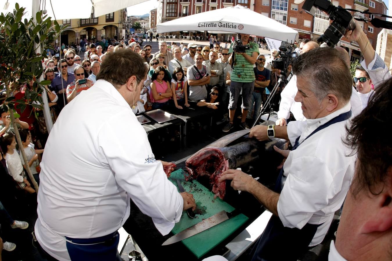 Ronqueo de atún en Torrelavega