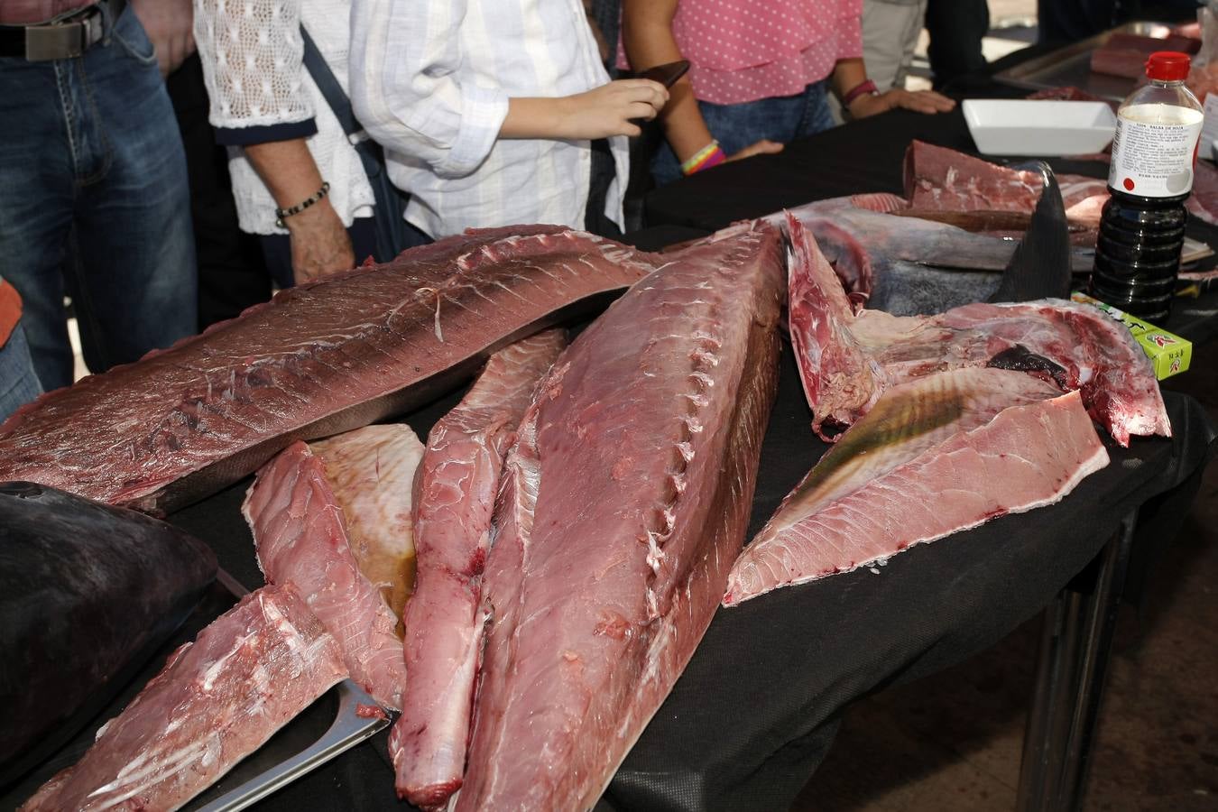Ronqueo de atún en Torrelavega
