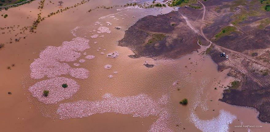 Flamencos, Lago Bogoria, Kenya. Diferentes paisajes que ya son fascinantes desde tierra, pero que se vuelven más espectaculares todavía en estas tomas aéreas