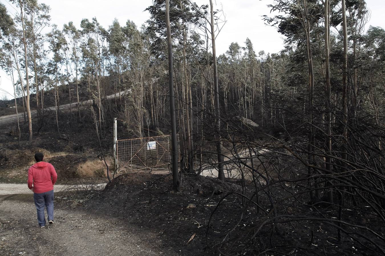 Monte Dobra en Viérnoles