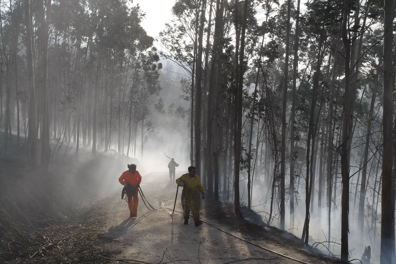 Incendio forestal en el monte Dobra