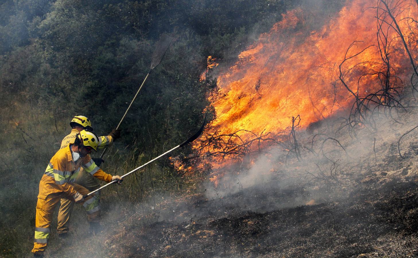 Incendio forestal próximo al barrio La Pedrosa en Camargo