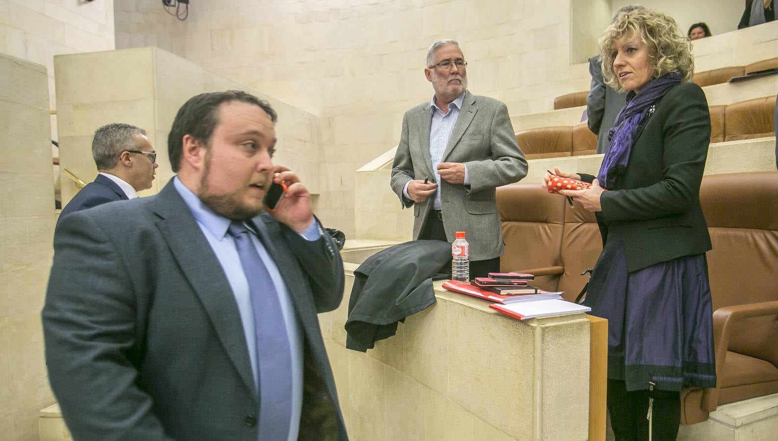 El Parlamento reconoce el lábaro aunque sin consenso