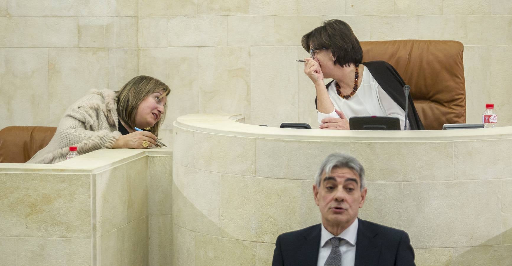 El Parlamento reconoce el lábaro aunque sin consenso