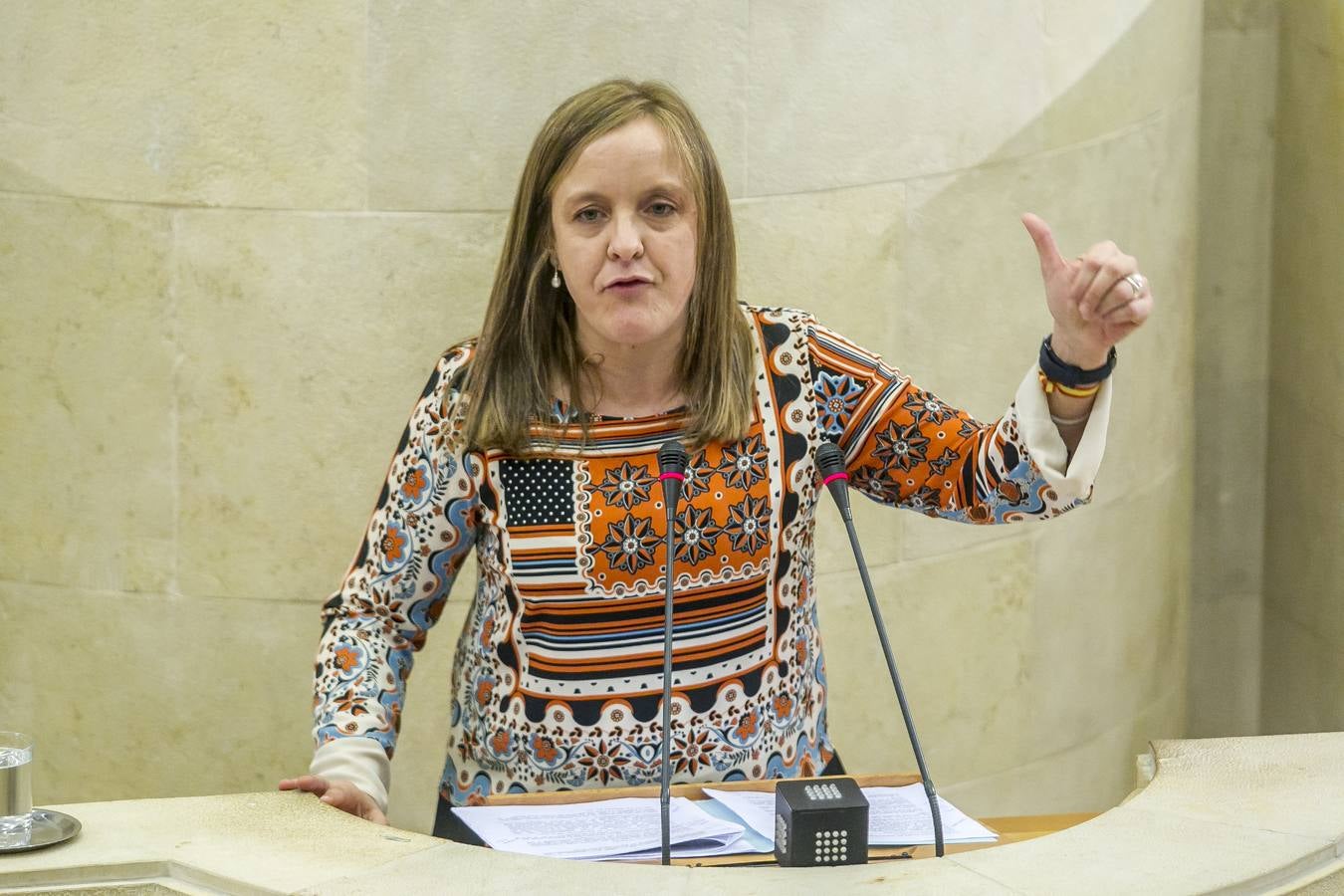 El Parlamento reconoce el lábaro aunque sin consenso