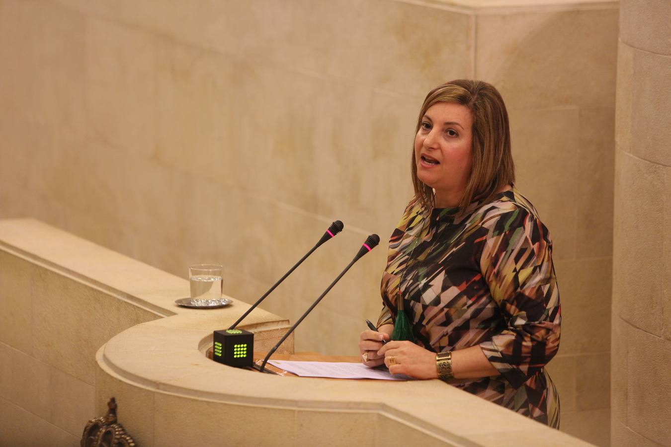Pleno del Parlamento