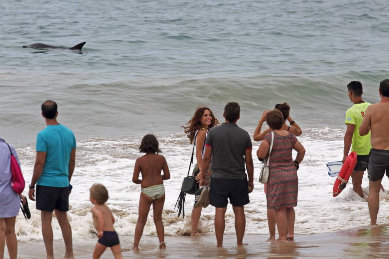 Aparece un delfín en la playa de Comillas