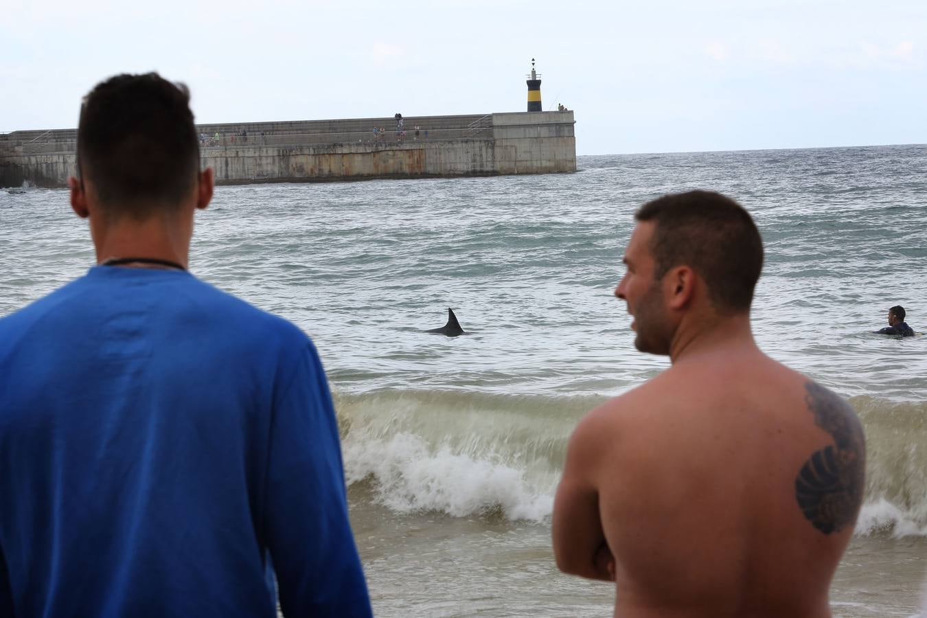 Aparece un delfín en la playa de Comillas
