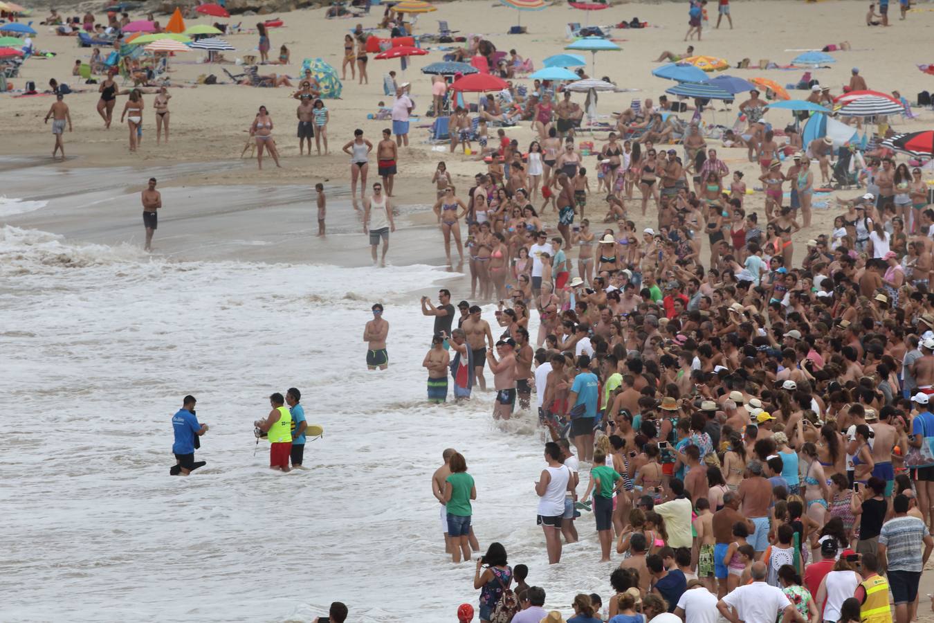 Aparece un delfín en la playa de Comillas