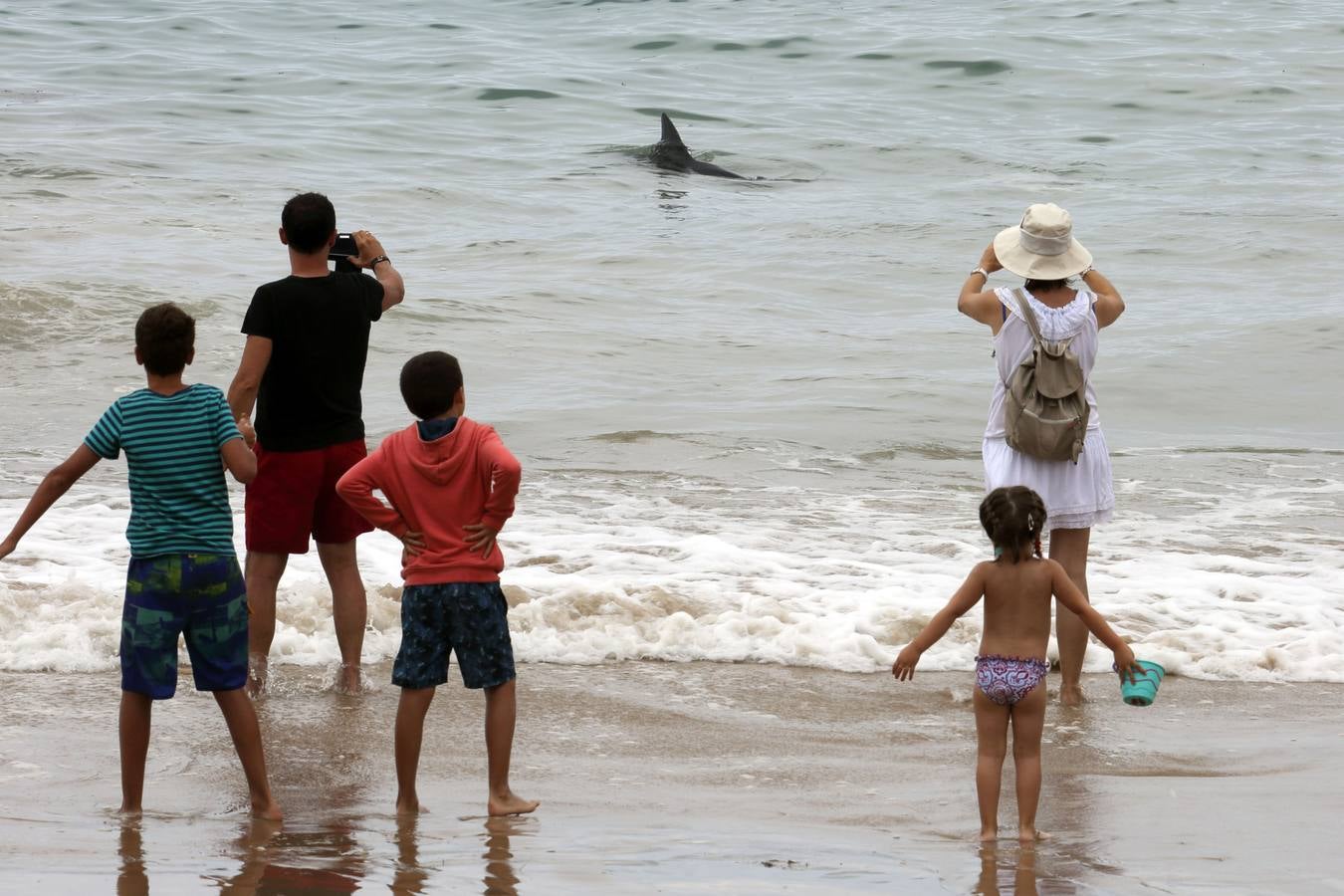 Aparece un delfín en la playa de Comillas