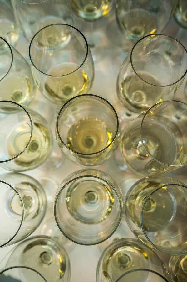 Cata de los mejores vinos