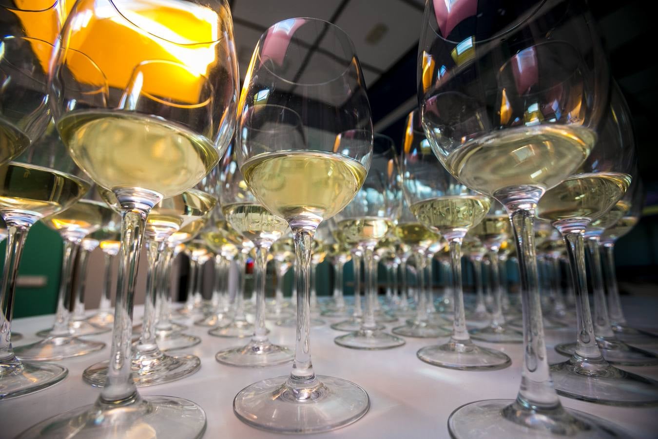 Cata de los mejores vinos