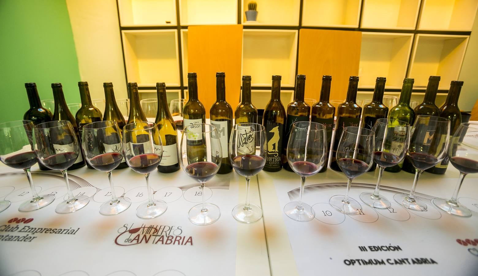 Cata de los mejores vinos