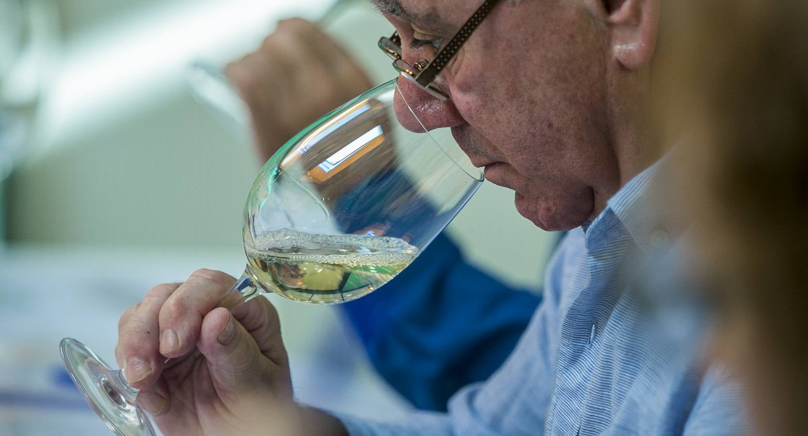 Cata de los mejores vinos