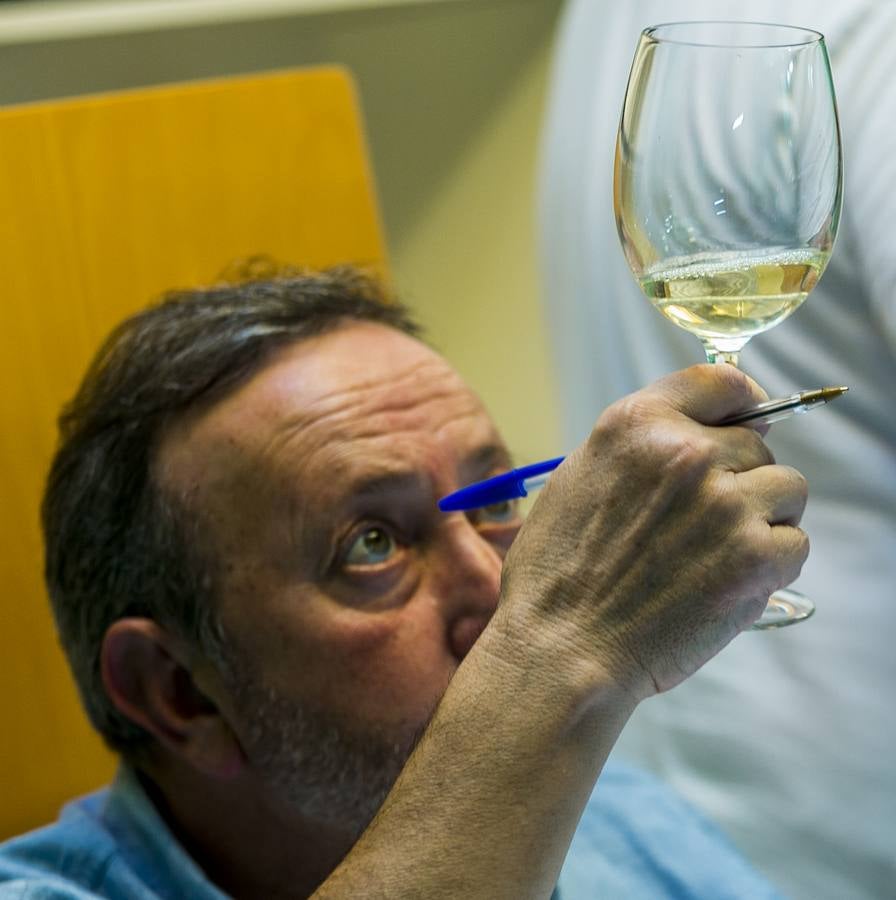 Cata de los mejores vinos