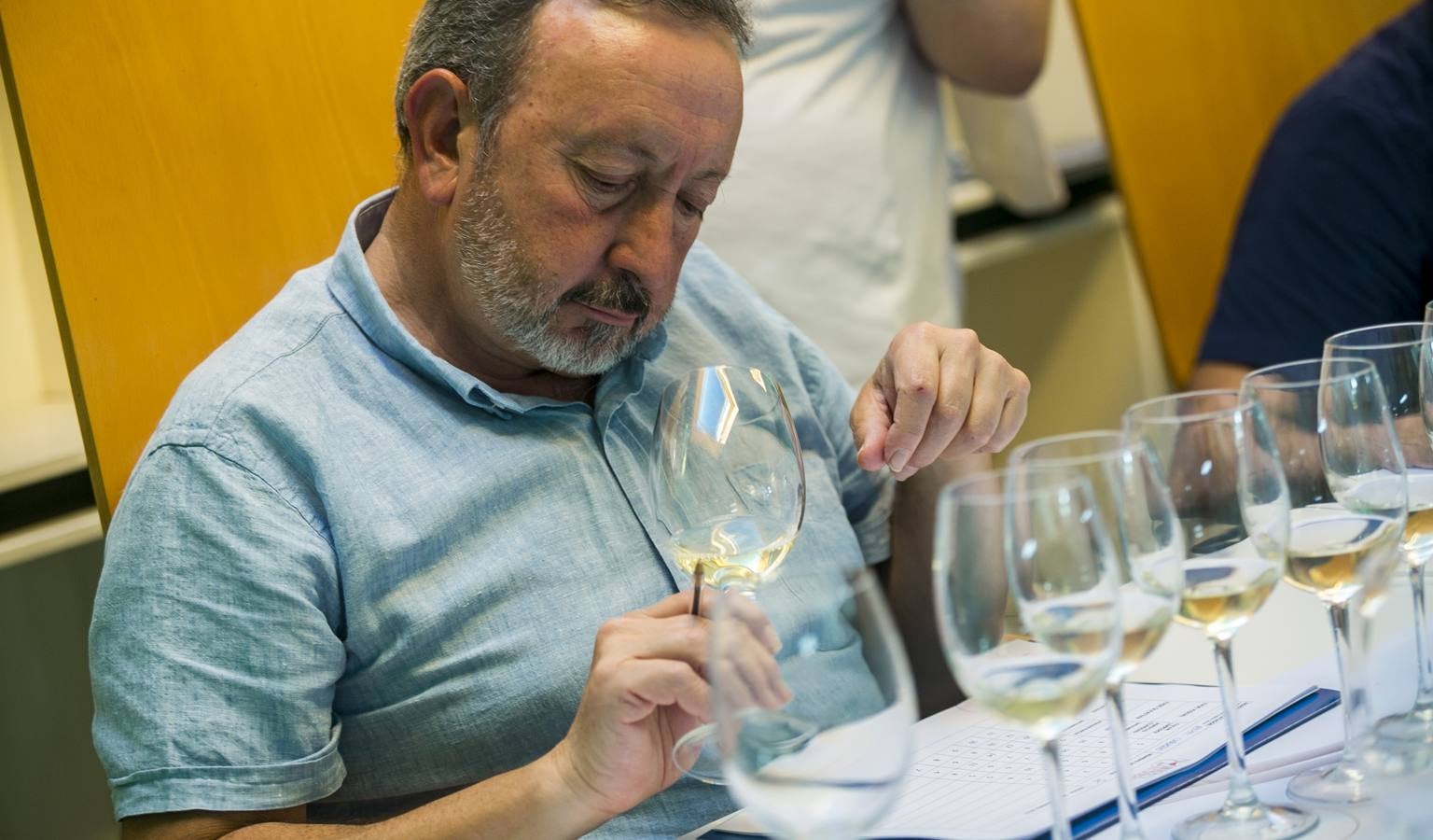 Cata de los mejores vinos