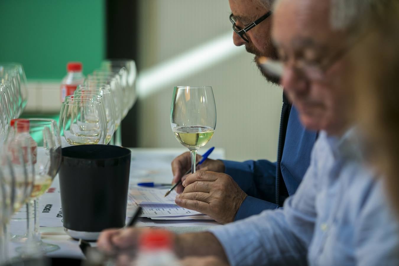 Cata de los mejores vinos