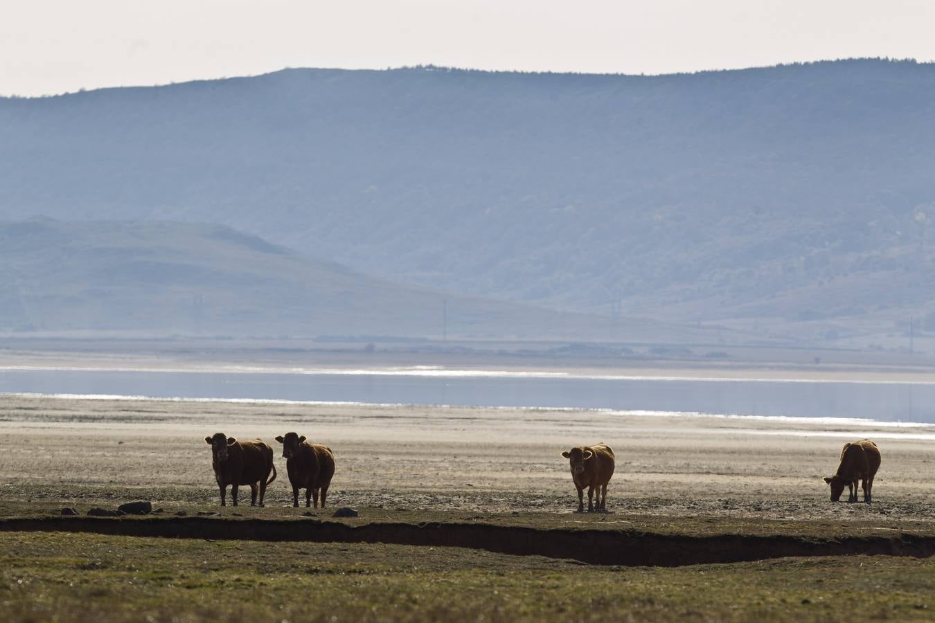 El Pantano del Ebro se encuentra ya en el tercer nivel más bajo de los diez últimos años
