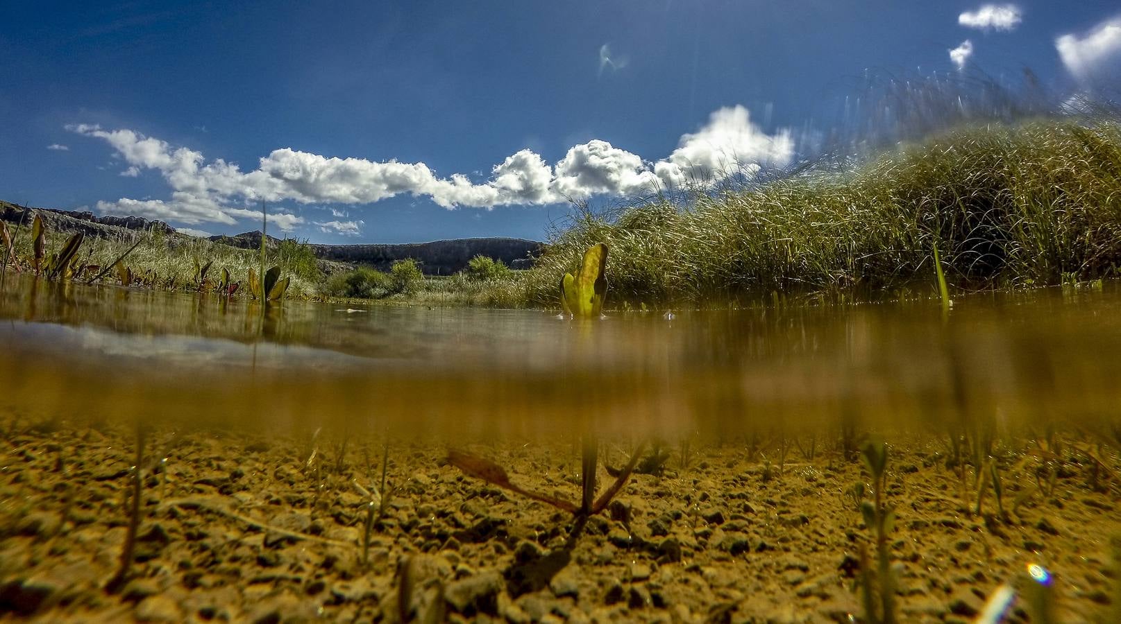 Foto con la Go-Pro en el interior de un charco.