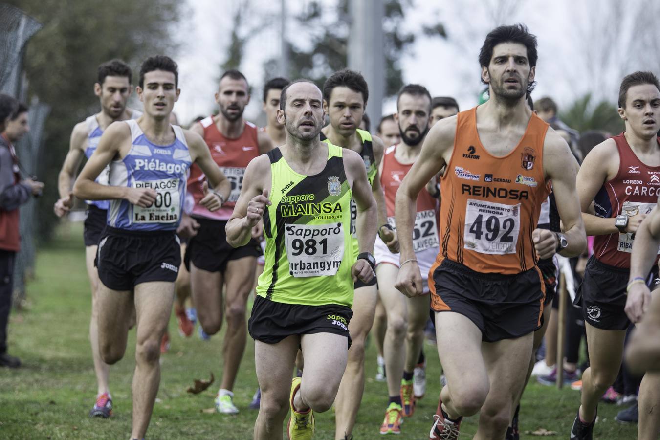 Regional de cross