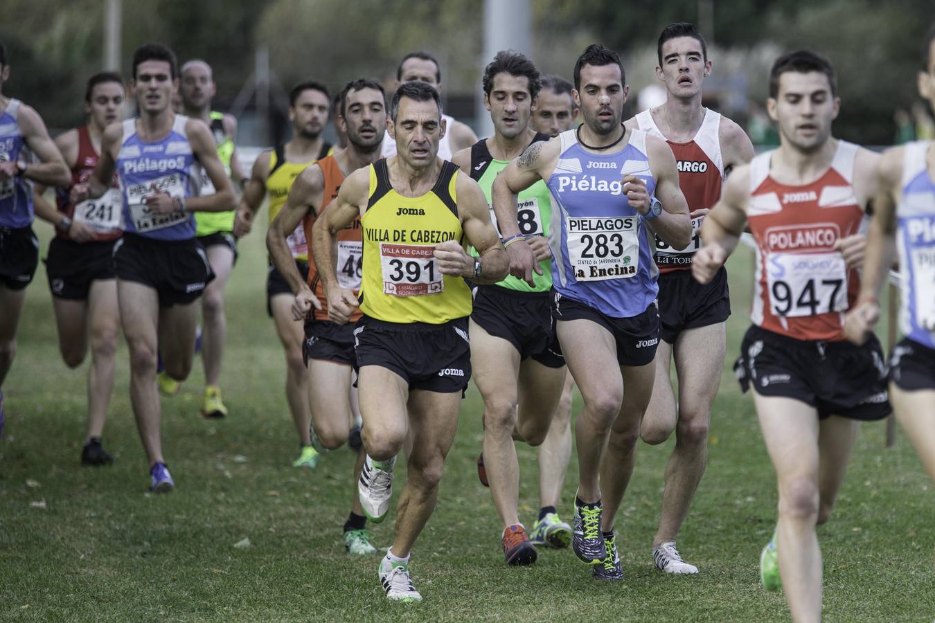 Regional de cross
