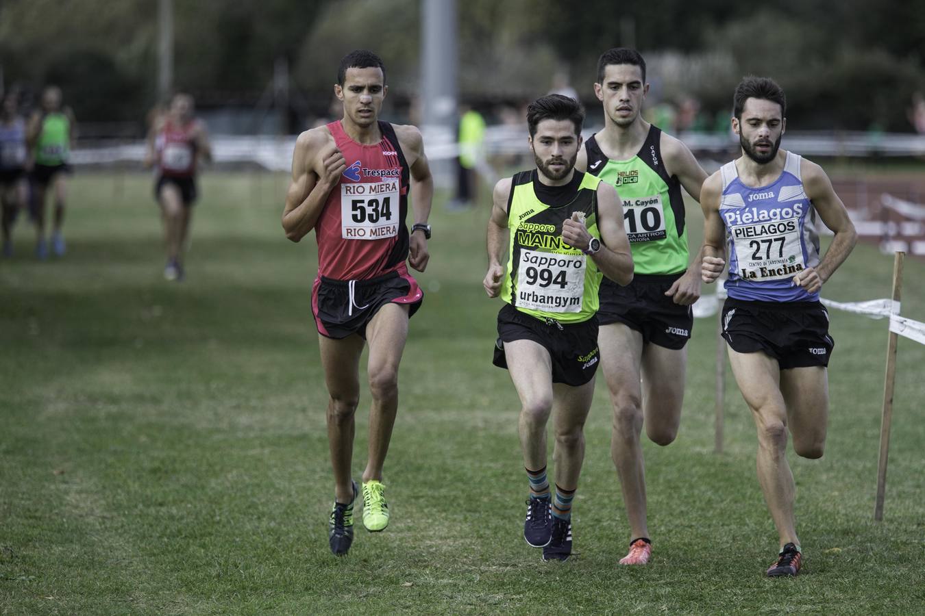 Regional de cross