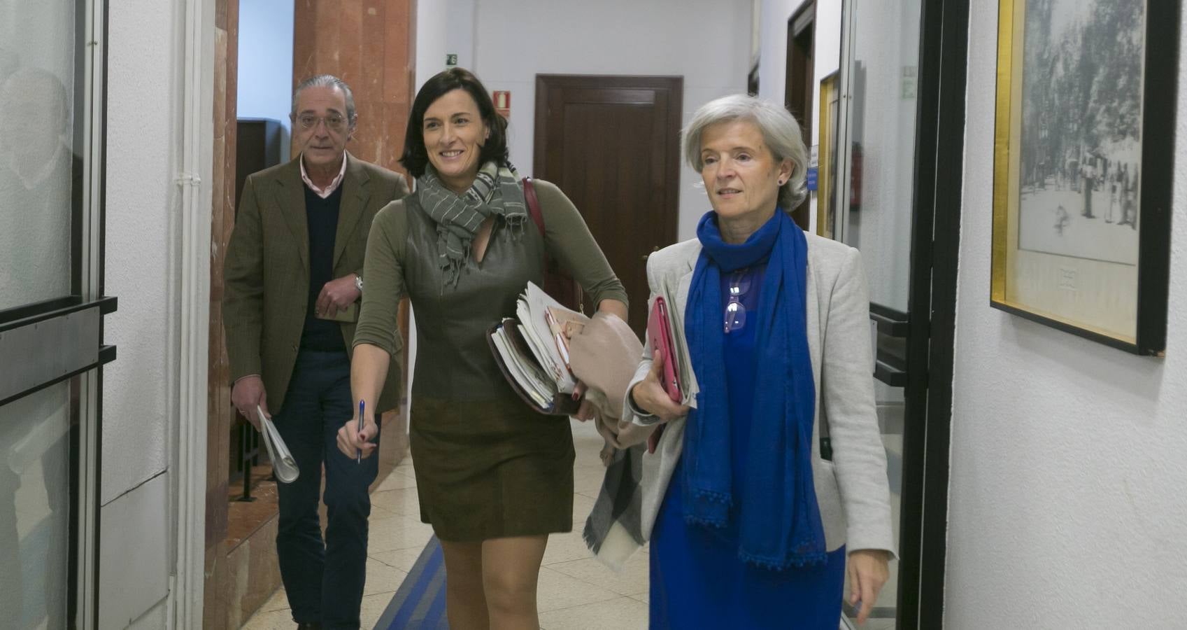 Pleno en Santander