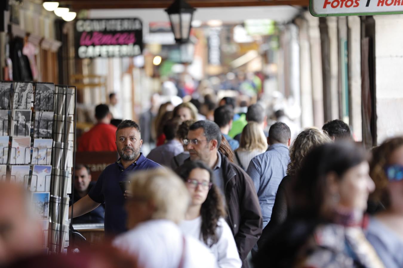 Ambiente de lujo