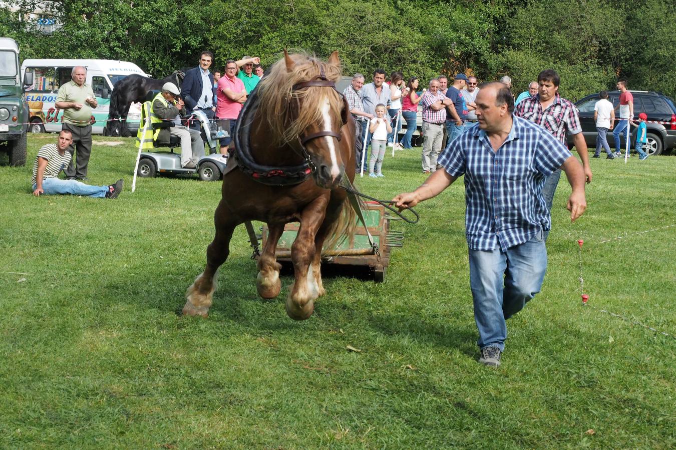 Concursos de ganado por San Isidro
