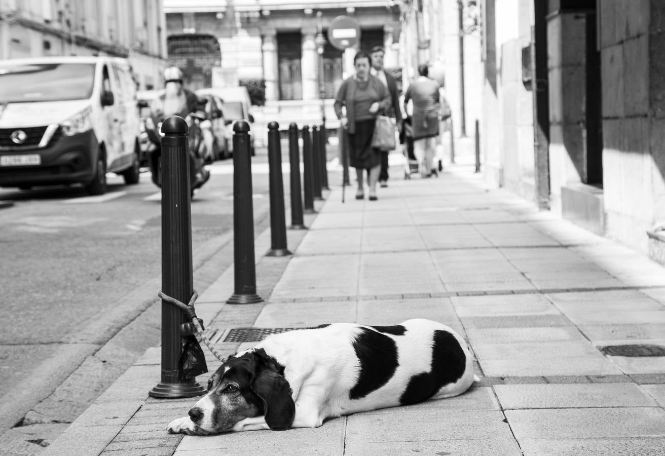 Santander en blanco y negro
