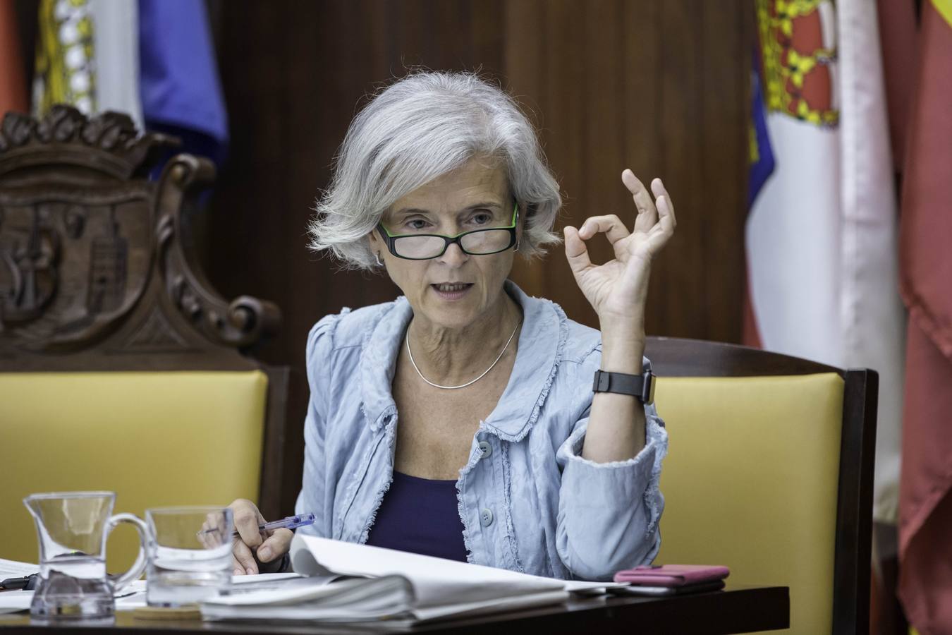 Pleno del Ayuntamiento de Santander, de este jueves 29 de junio