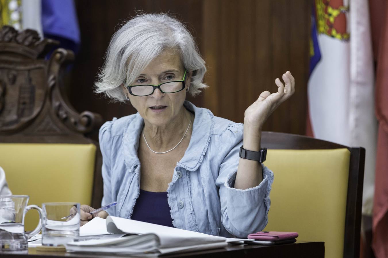 Pleno del Ayuntamiento de Santander, de este jueves 29 de junio