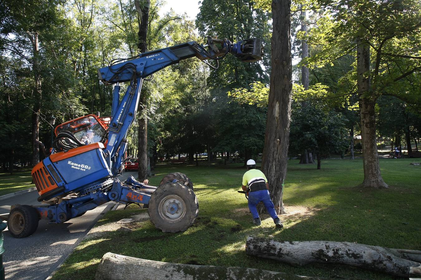 El Ayuntamiento de Torrelavega ha comenzado hoy a retirar del Parque Manuel Barquín los alrededor de 40 árboles muertos o en muy mal estado según el estudio encargado recientemente por la Concejalía de Medio Ambiente.