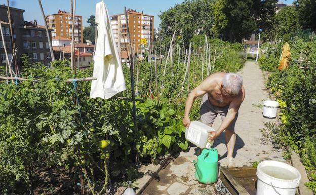 Un usuario de la Finca Altamira trabajando este verano en su huerto