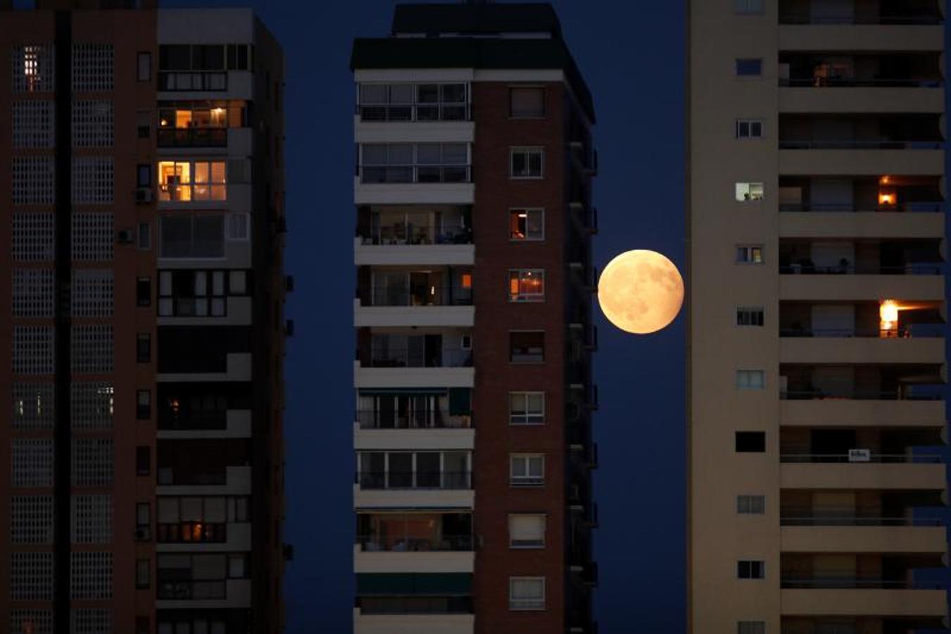 El eclipse lunar en Málaga.
