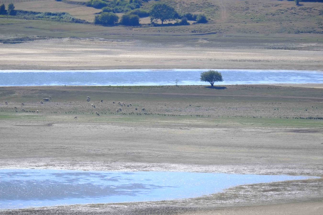 La sequía reduce el nivel del Pantano al 31%