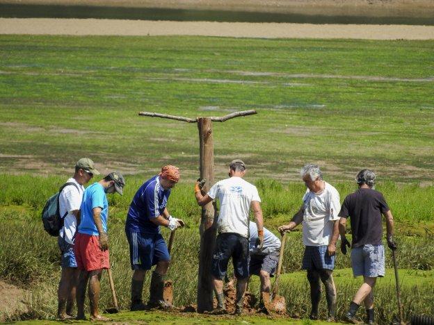 El águila pescadora ya tiene hogar